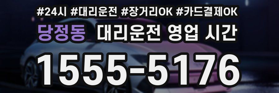 당정동 대리운전 영업 시간