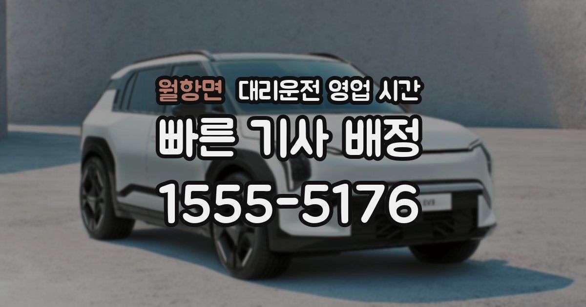 월항면 대리운전 영업 시간
