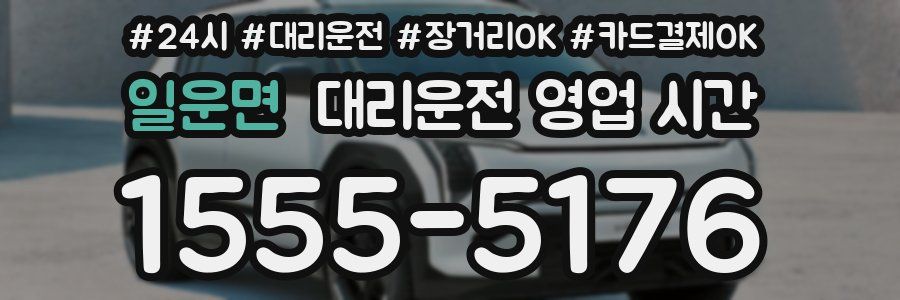 일운면 대리운전 영업 시간