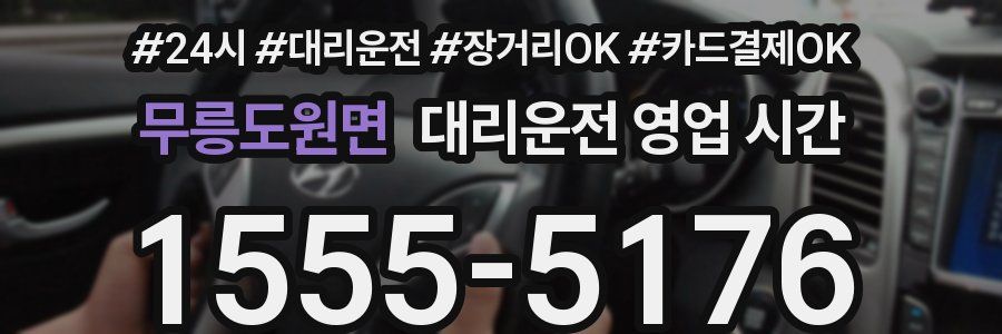 무릉도원면 대리운전 영업 시간