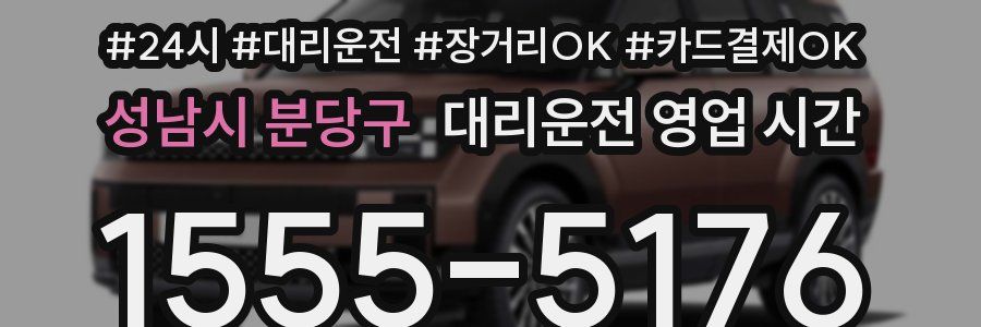 성남시 분당구 대리운전 영업 시간
