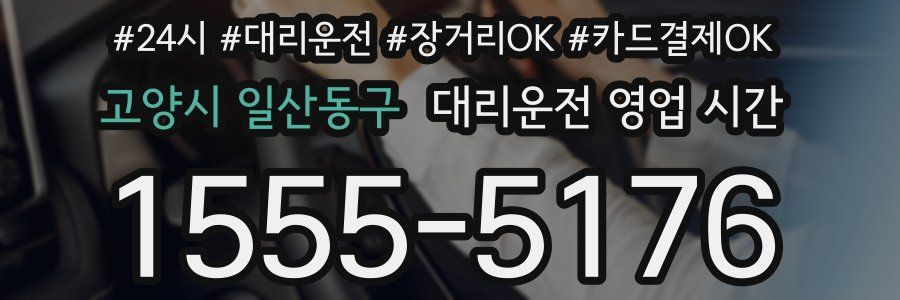 고양시 일산동구 대리운전 영업 시간