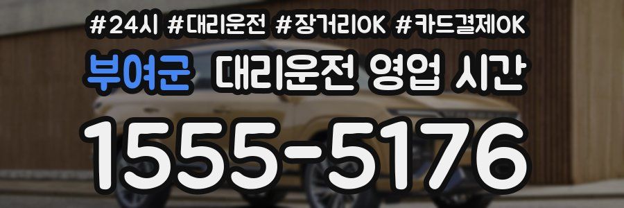 부여군 대리운전 영업 시간