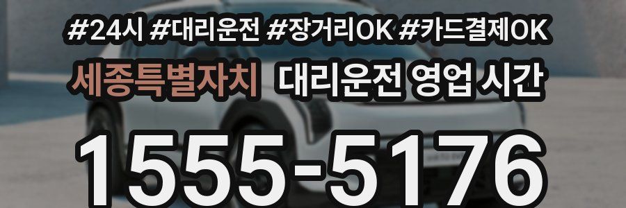세종특별자치 대리운전 영업 시간