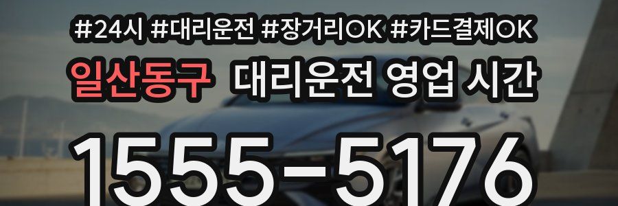 일산동구 대리운전 영업 시간