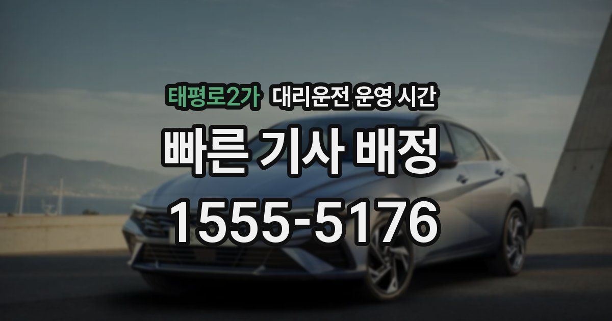 태평로2가 대리운전 운영 시간