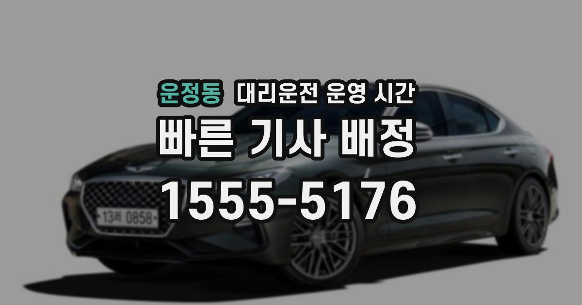 운정동 대리운전 운영 시간