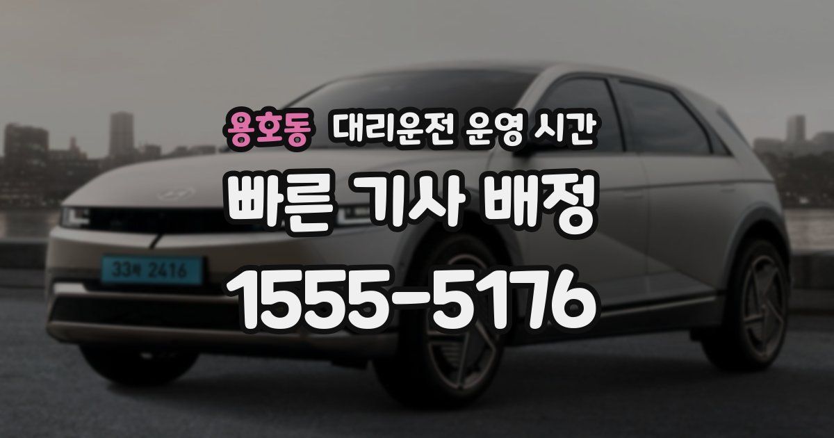 용호동 대리운전 운영 시간