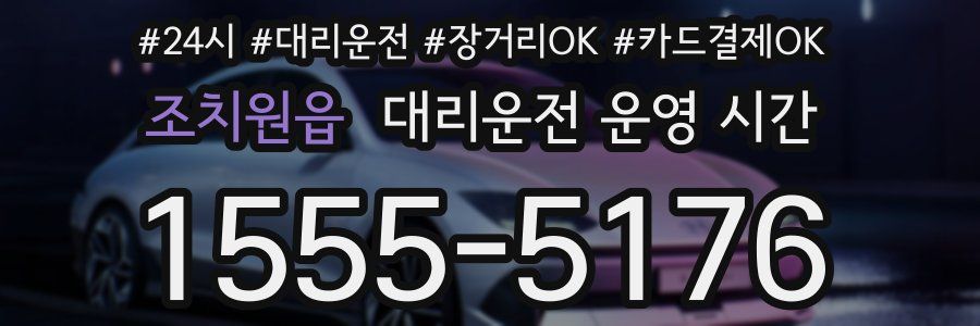 조치원읍 대리운전 운영 시간