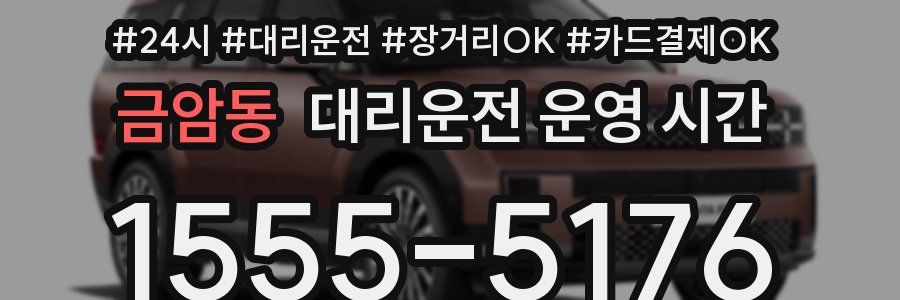 금암동 대리운전 운영 시간