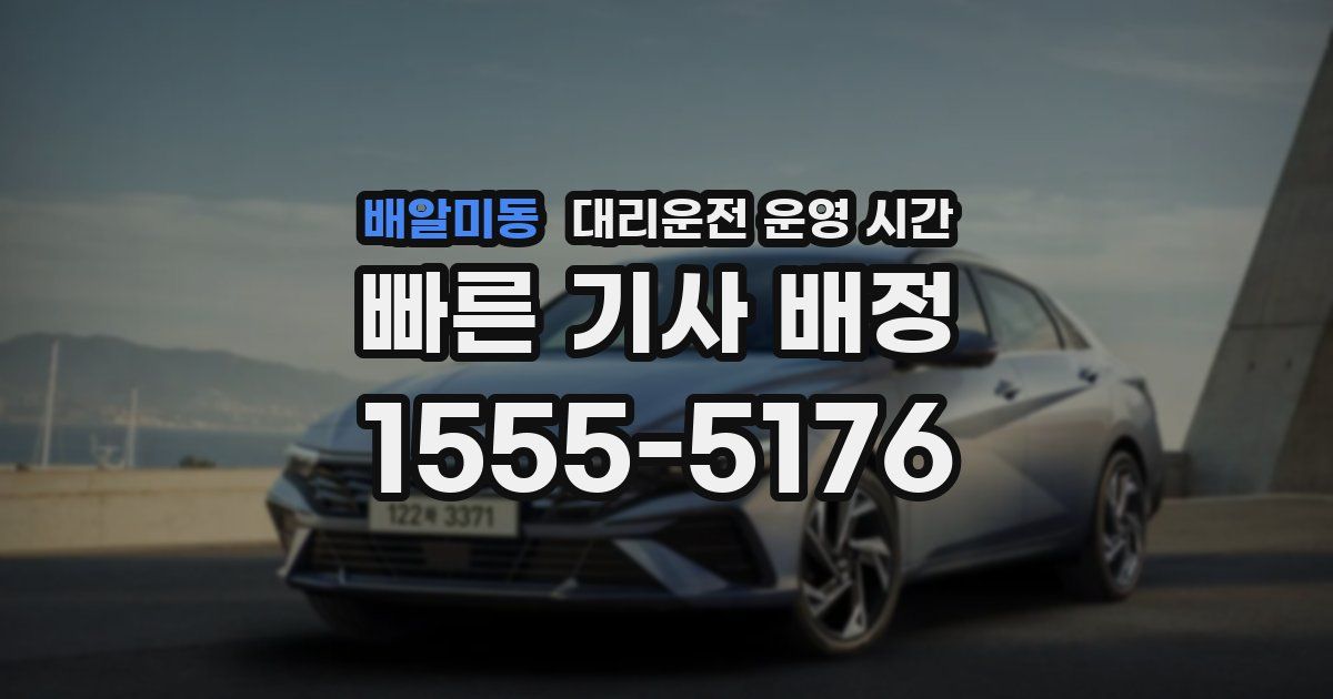 배알미동 대리운전 운영 시간