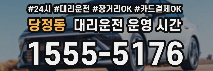 당정동 대리운전 운영 시간
