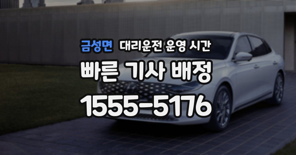 금성면 대리운전 운영 시간
