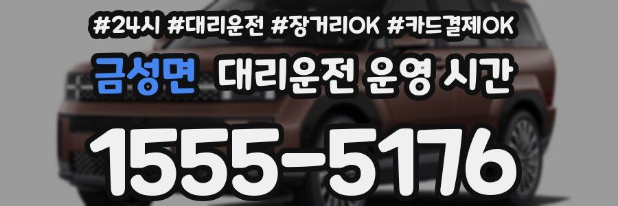 금성면 대리운전 운영 시간