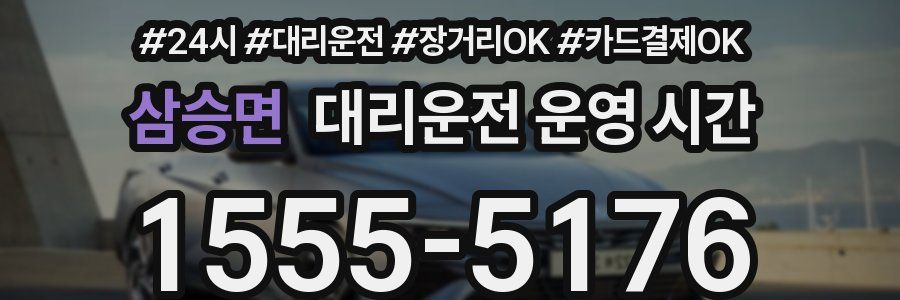 삼승면 대리운전 운영 시간