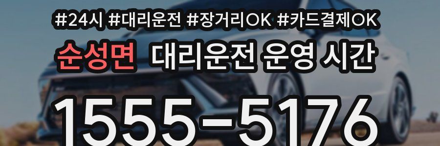 순성면 대리운전 운영 시간