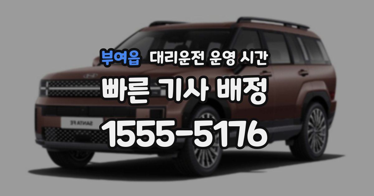 부여읍 대리운전 운영 시간