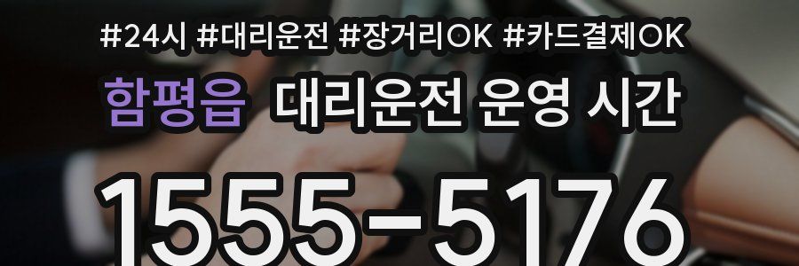 함평읍 대리운전 운영 시간