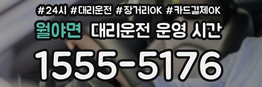 월야면 대리운전 운영 시간