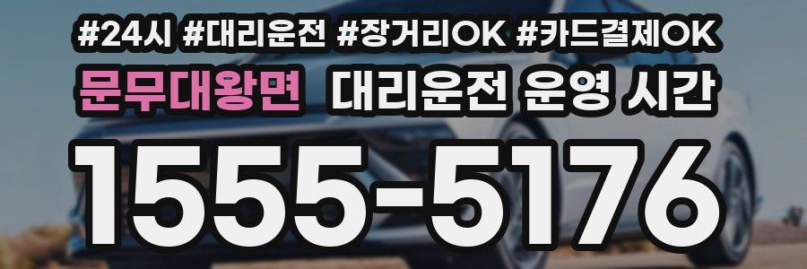 문무대왕면 대리운전 운영 시간