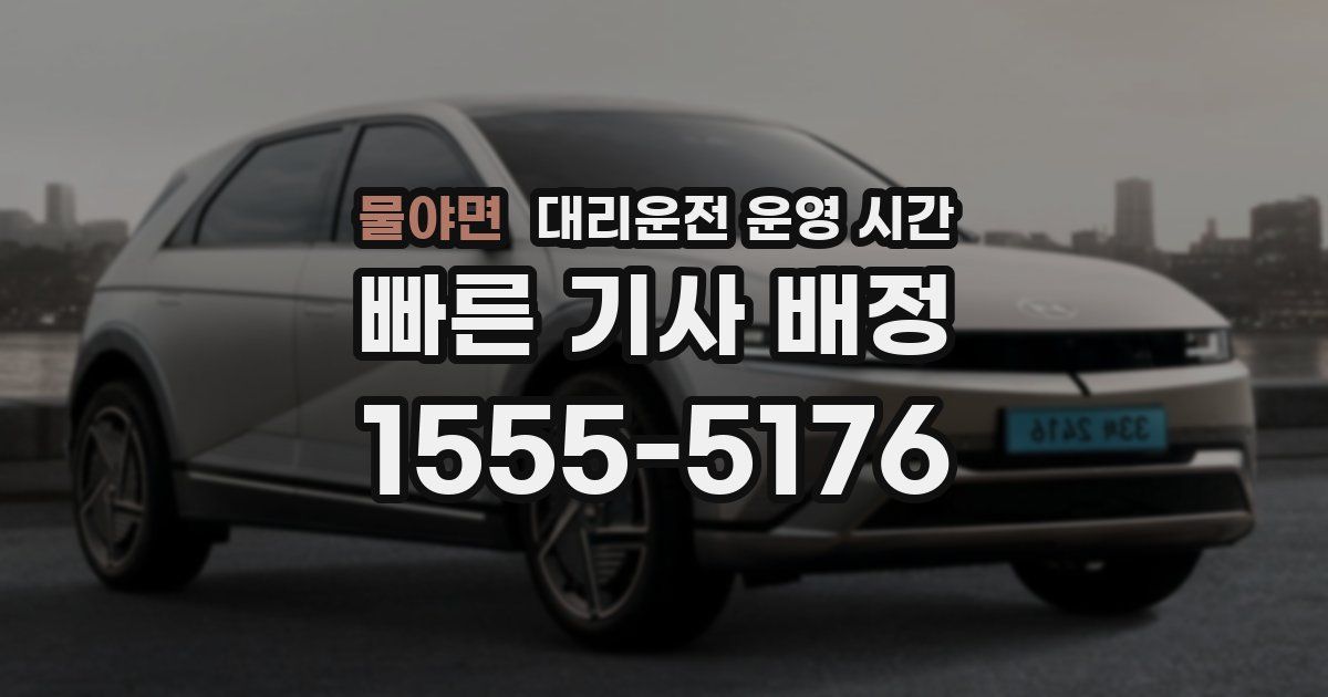 물야면 대리운전 운영 시간