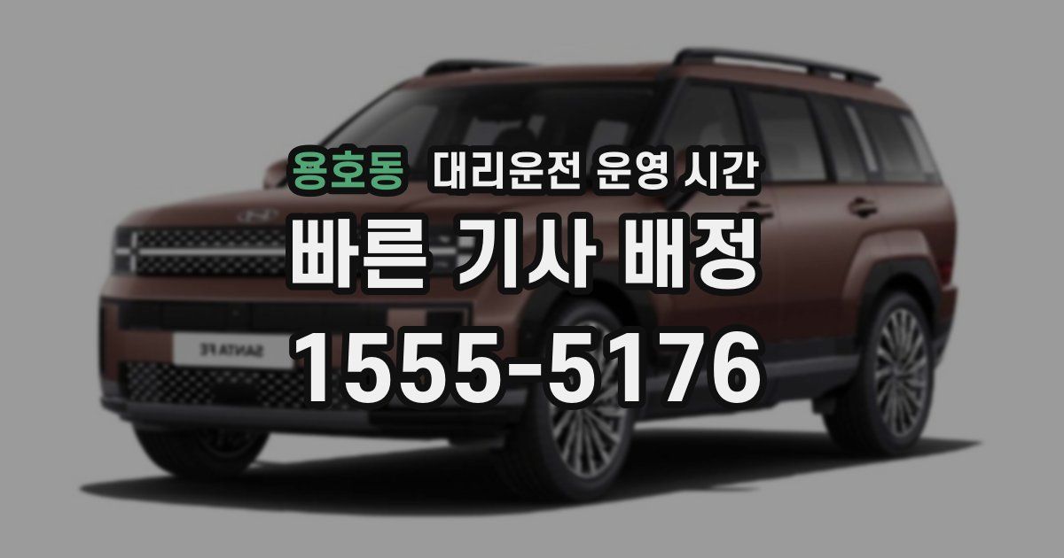 용호동 대리운전 운영 시간