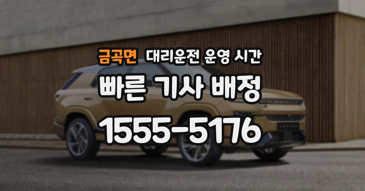 금곡면 대리운전 운영 시간