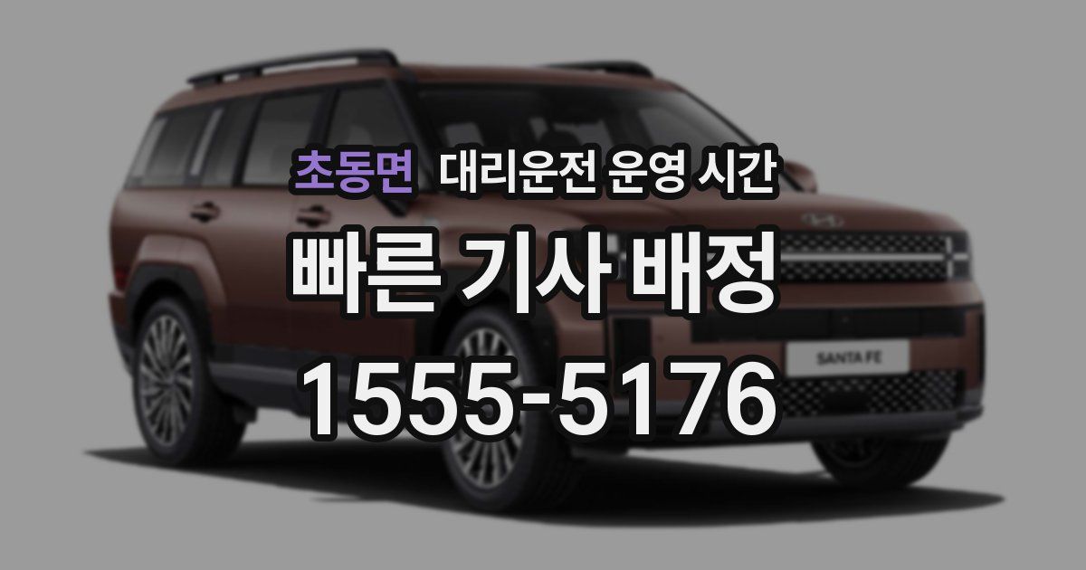 초동면 대리운전 운영 시간