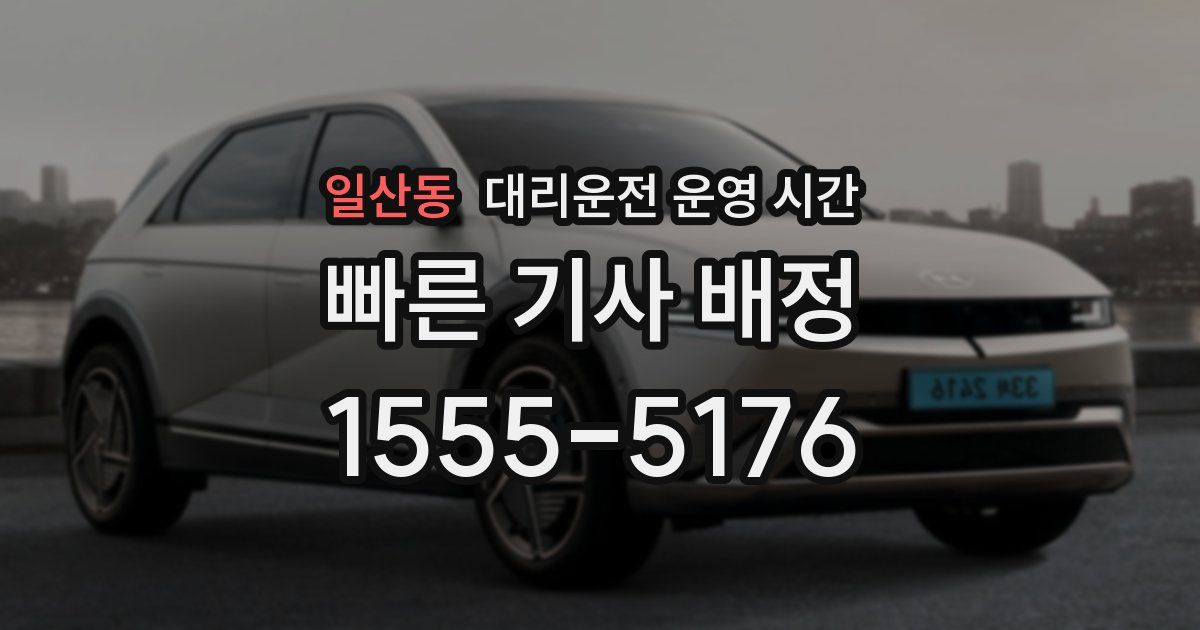 일산동 대리운전 운영 시간