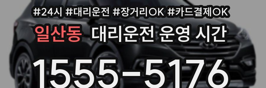일산동 대리운전 운영 시간