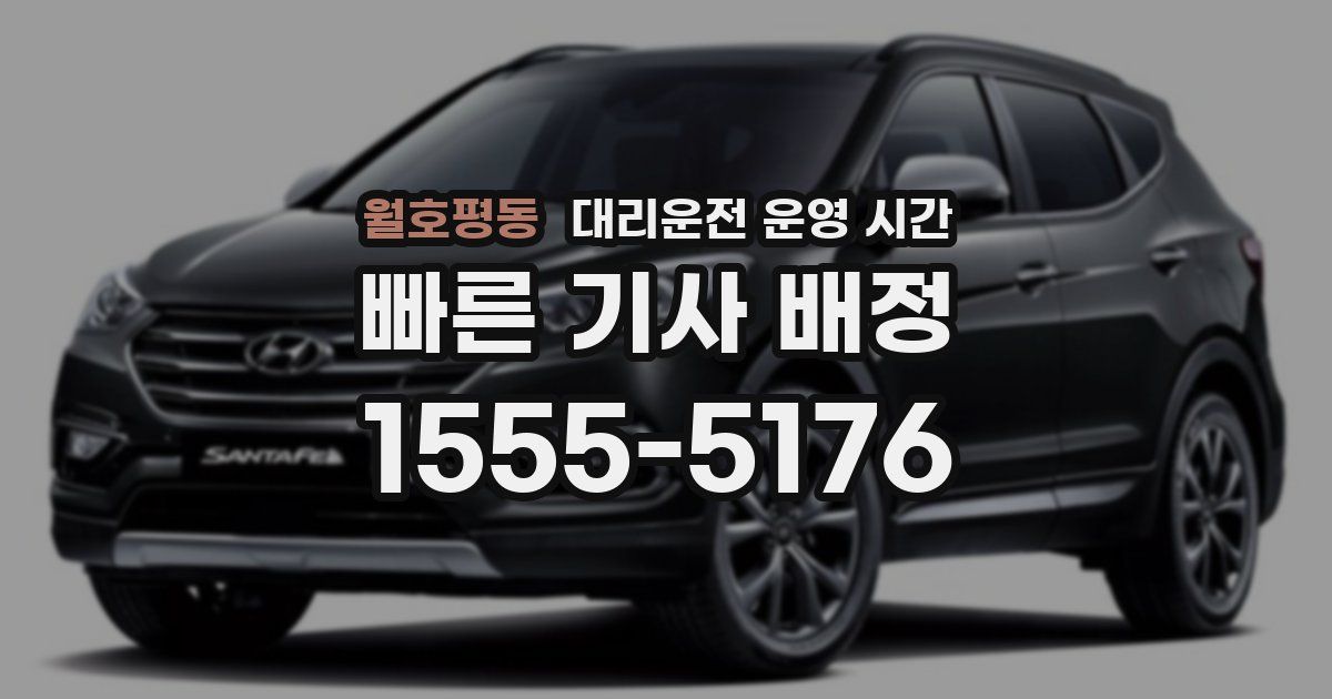 월호평동 대리운전 운영 시간