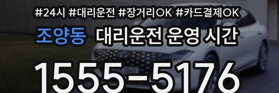 조양동 대리운전 운영 시간