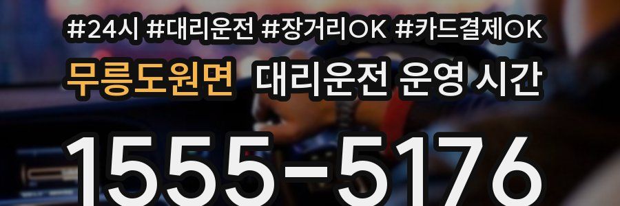 무릉도원면 대리운전 운영 시간
