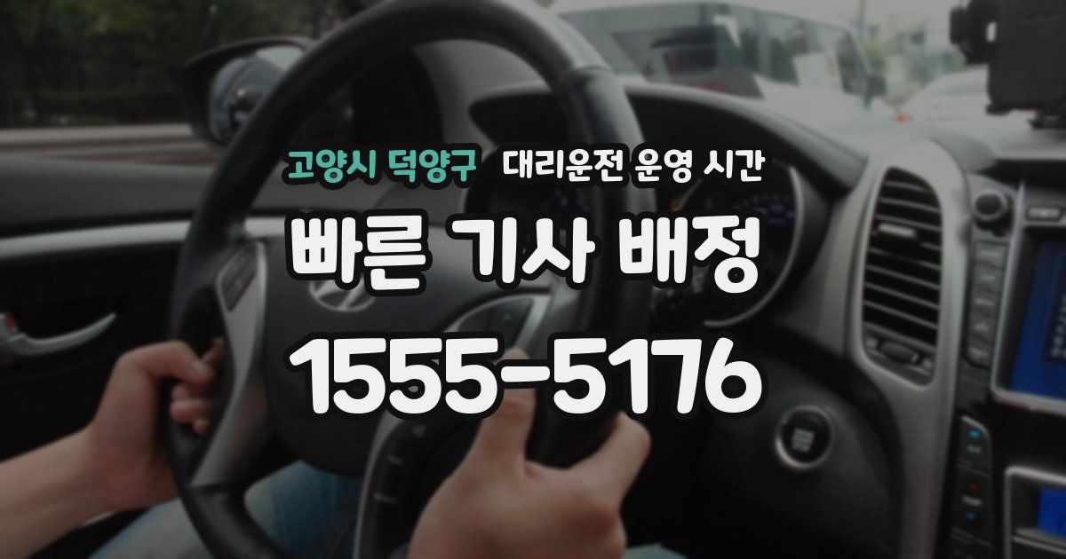 고양시 덕양구 대리운전 운영 시간