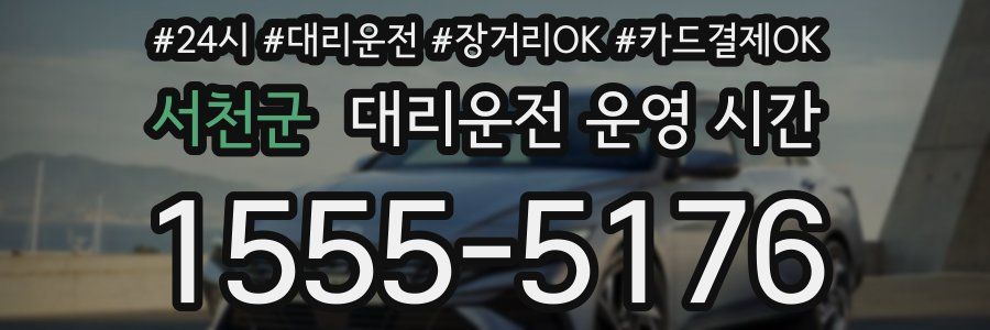 서천군 대리운전 운영 시간