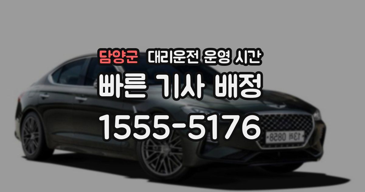 담양군 대리운전 운영 시간