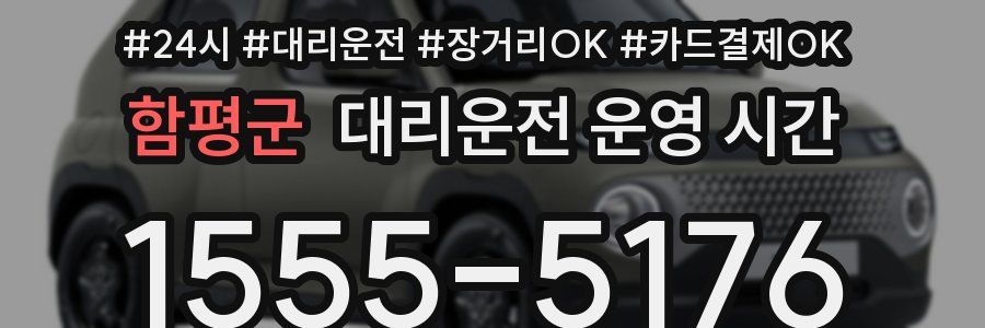 함평군 대리운전 운영 시간