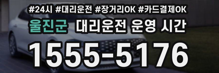 울진군 대리운전 운영 시간