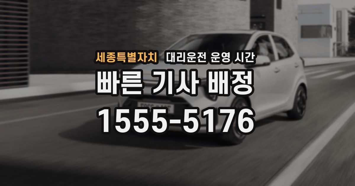 세종특별자치 대리운전 운영 시간