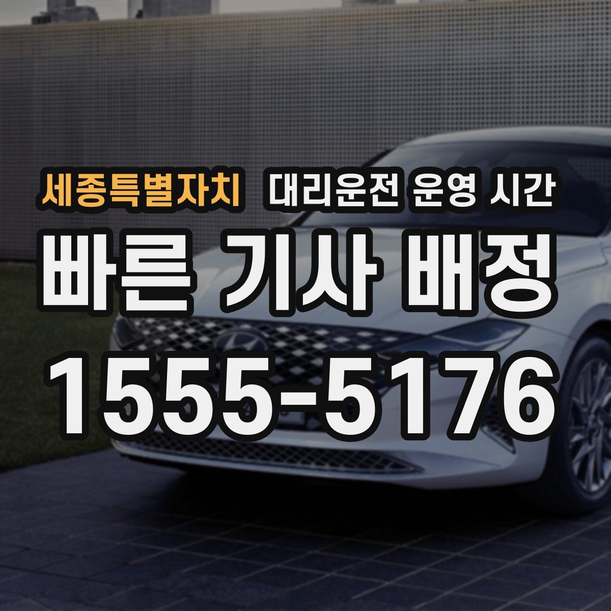 세종특별자치 대리운전 운영 시간