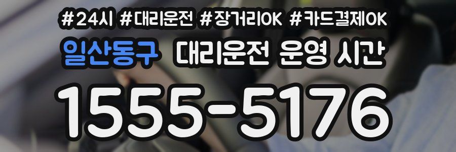 일산동구 대리운전 운영 시간