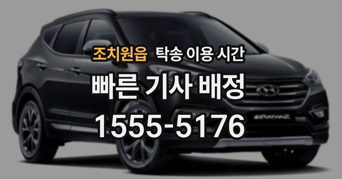 조치원읍 탁송 이용 시간