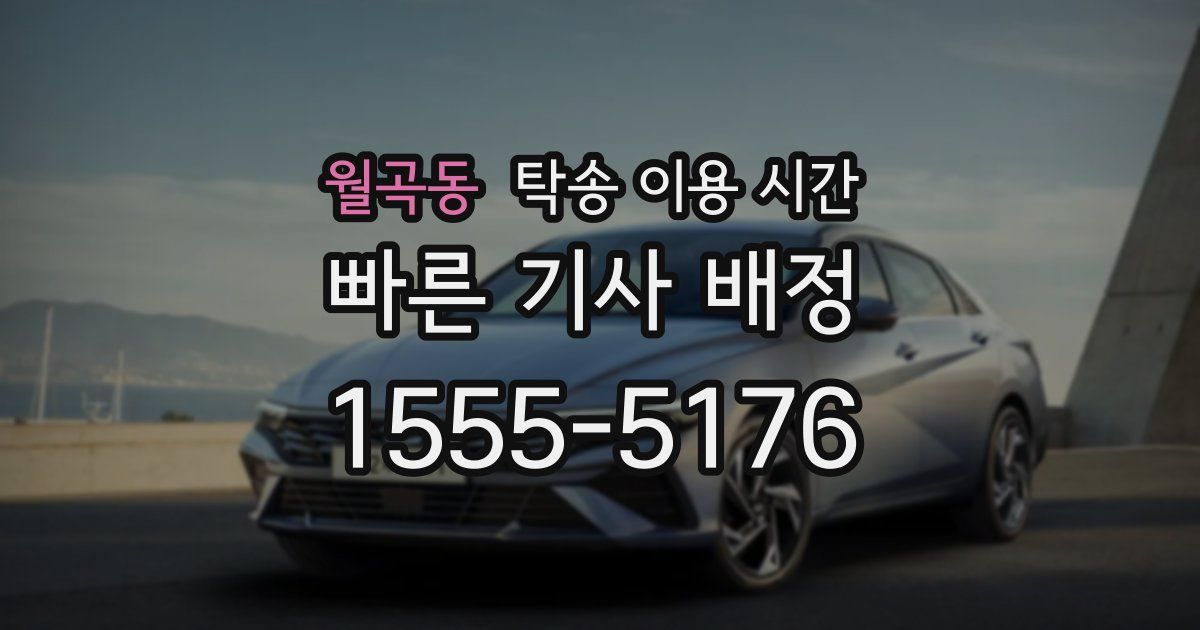 월곡동 탁송 이용 시간