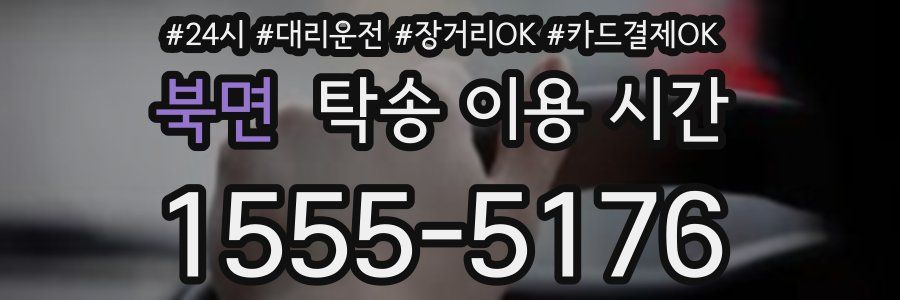 북면 탁송 이용 시간