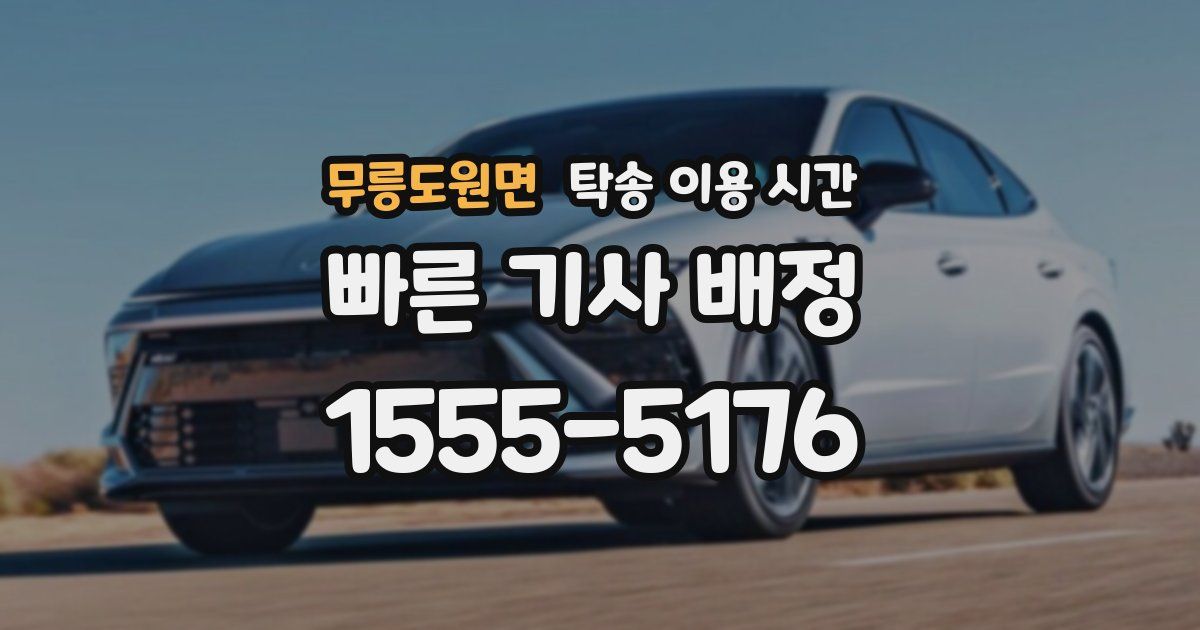 무릉도원면 탁송 이용 시간