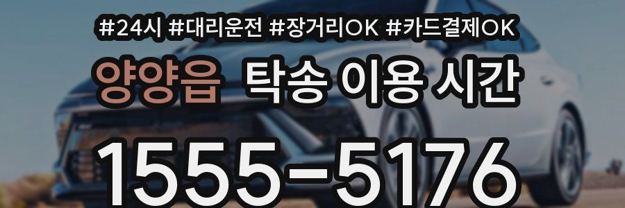 양양읍 탁송 이용 시간