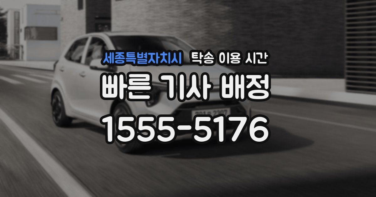 세종특별자치시 탁송 이용 시간