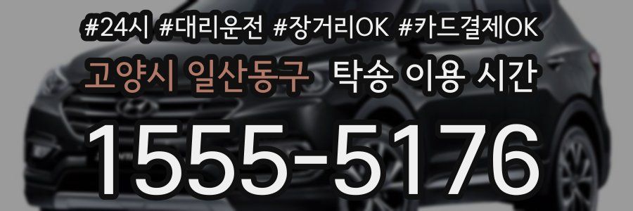 고양시 일산동구 탁송 이용 시간