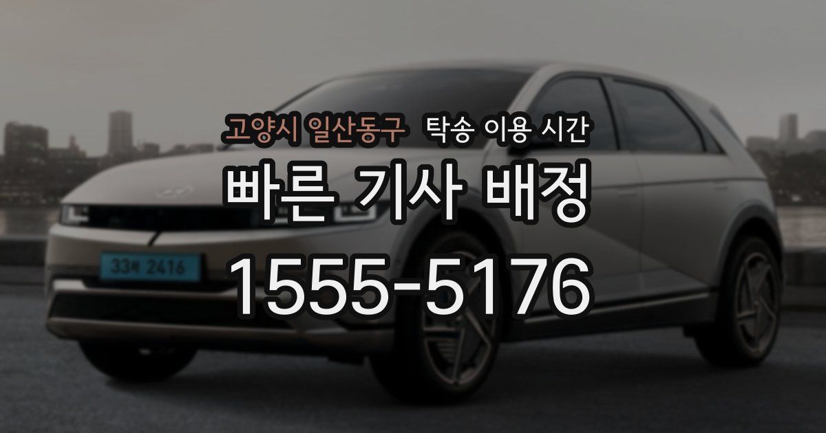 고양시 일산동구 탁송 이용 시간