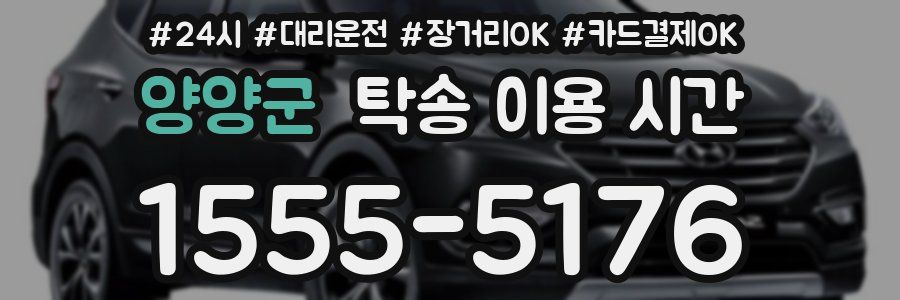 양양군 탁송 이용 시간